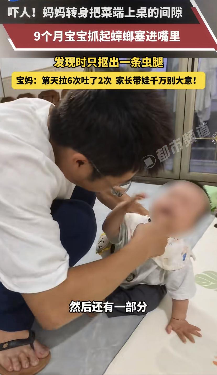 9个月宝宝趁妈转身，抓起蟑螂一口"爆浆"!
湖南一位宝妈刚把饭菜放桌上，转身拿个