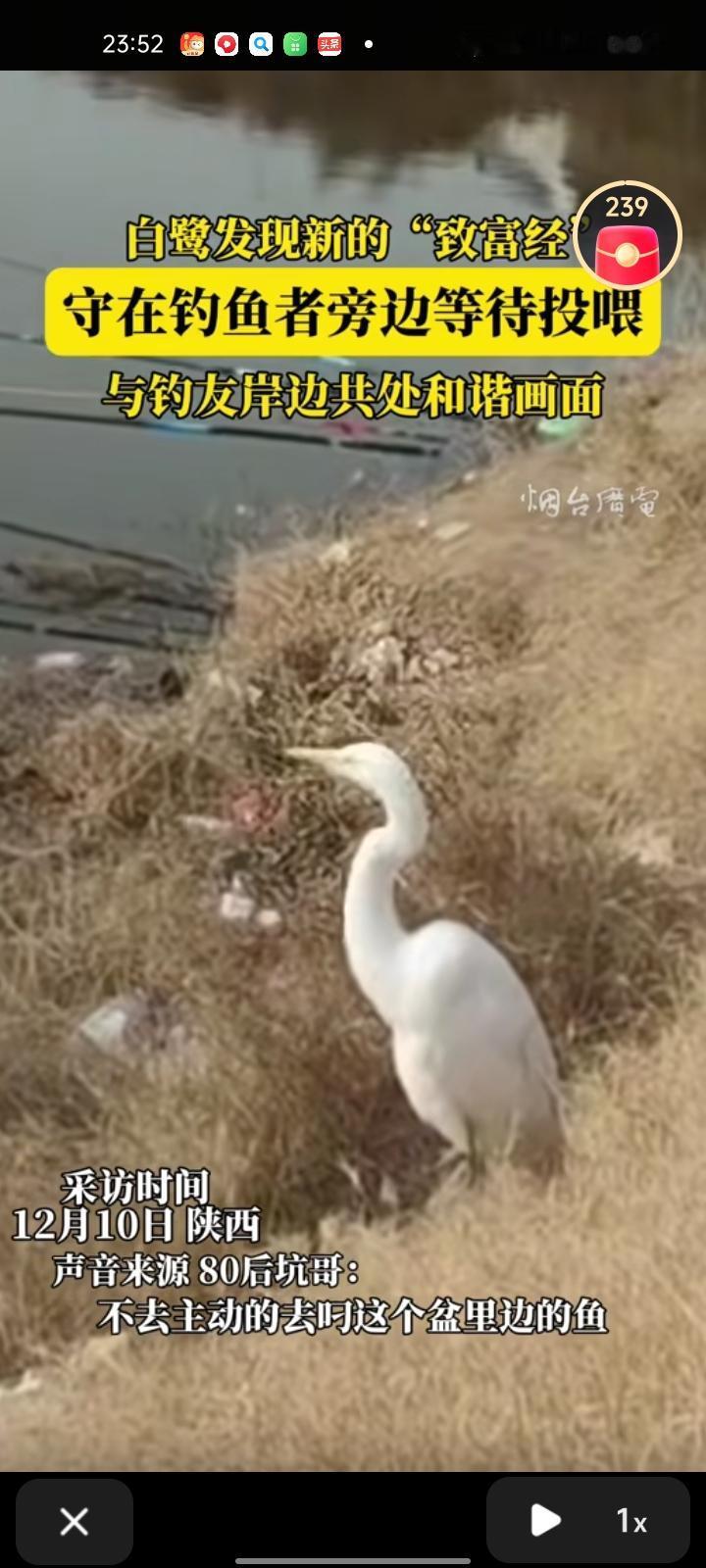 12月8日，陕西渭南。网友晒视频称，自己在河边钓鱼时发现男子钓上几条鱼放在盆里，