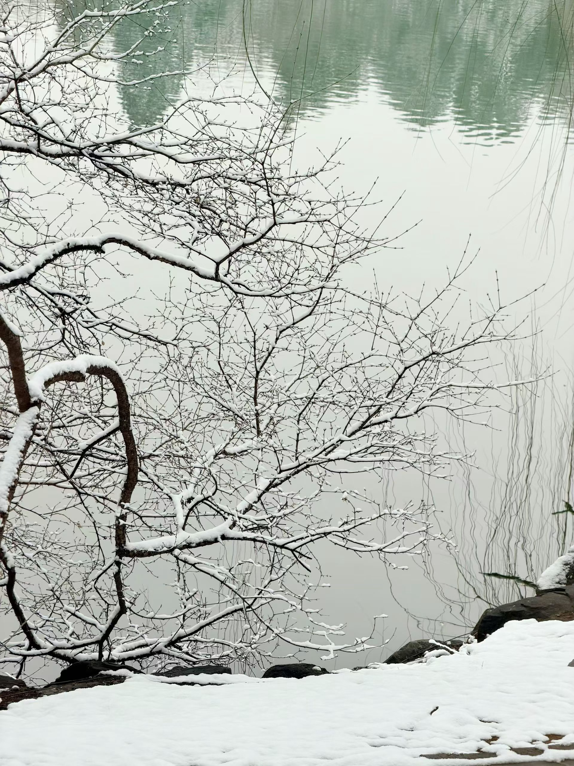 北京的雪应该是都过去了