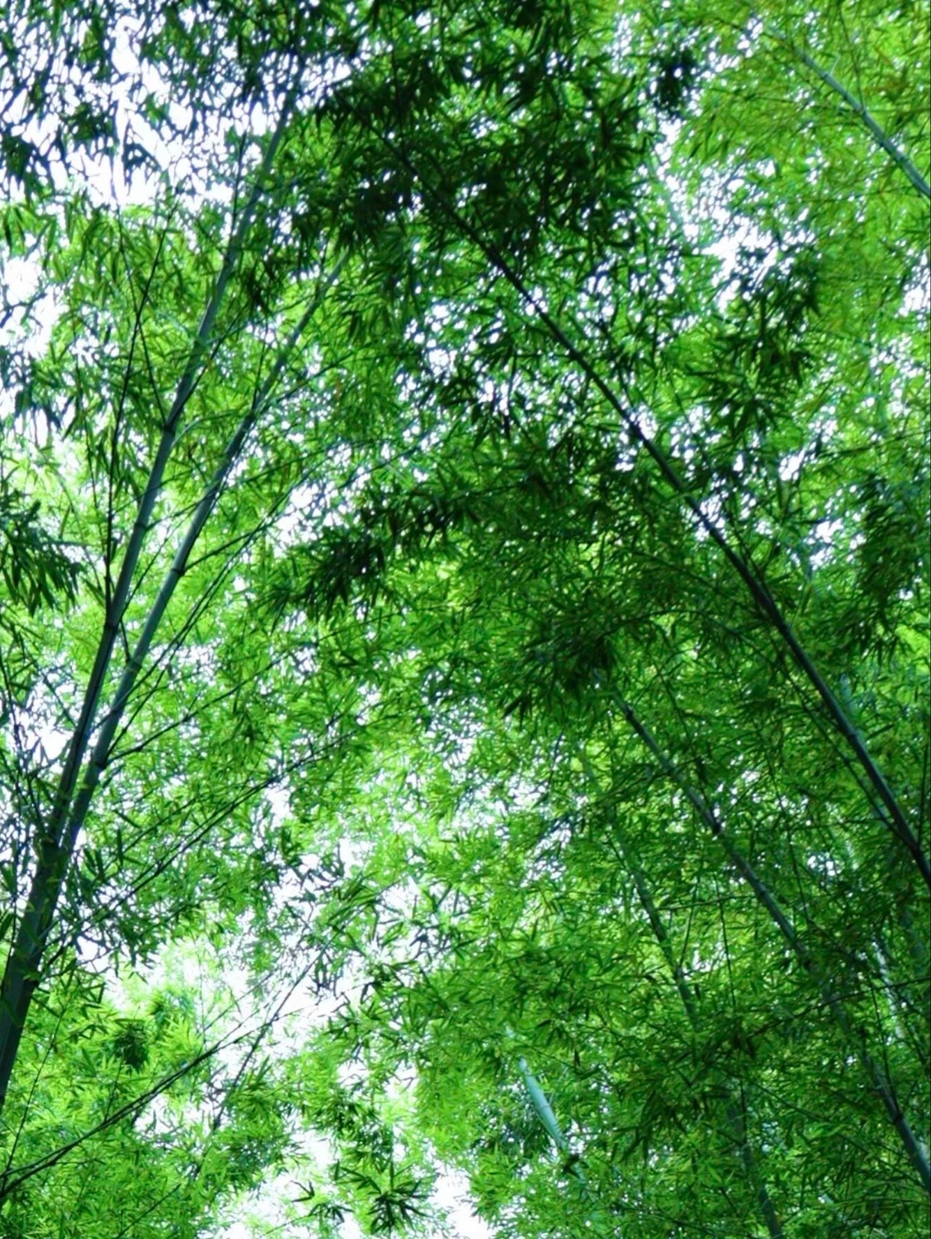 1000诚信是世间最朴素也最强大的力量。它无需华丽修饰，却能赢得长久信赖；它不图