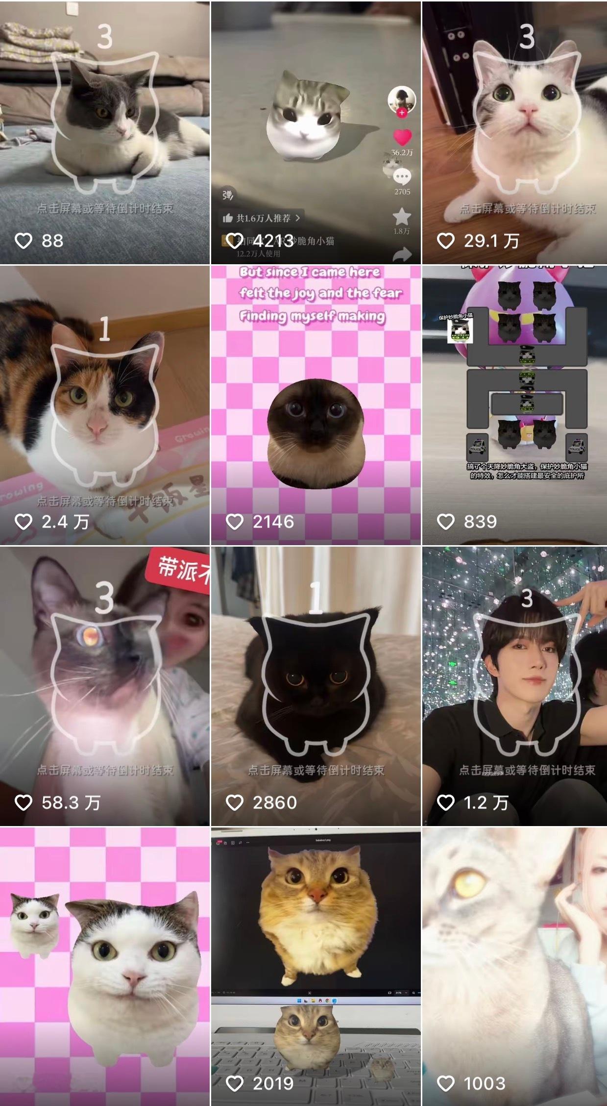 黄星就这样闯进了猫咪的赛道果然星咪本咪