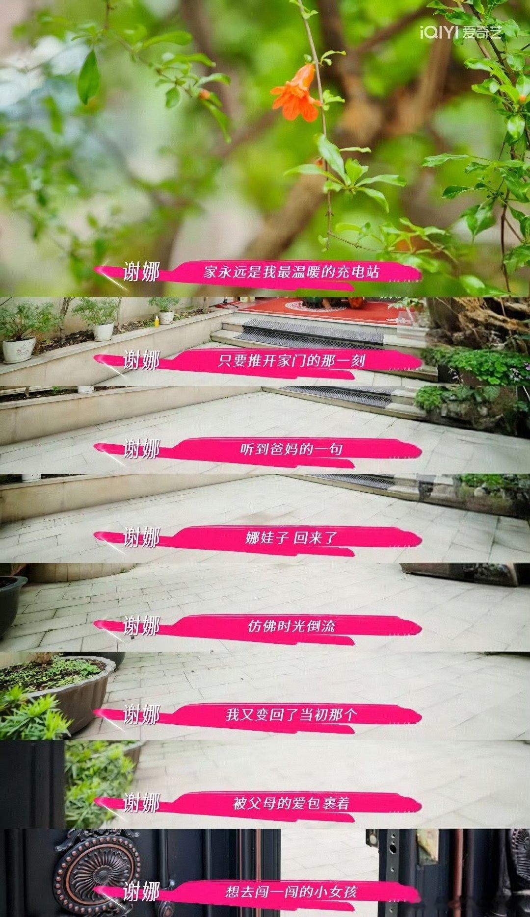 谢娜姐姐当家收官小作文 救命！谢娜的收官小作文把节目里的日常全写活了！那些画面一