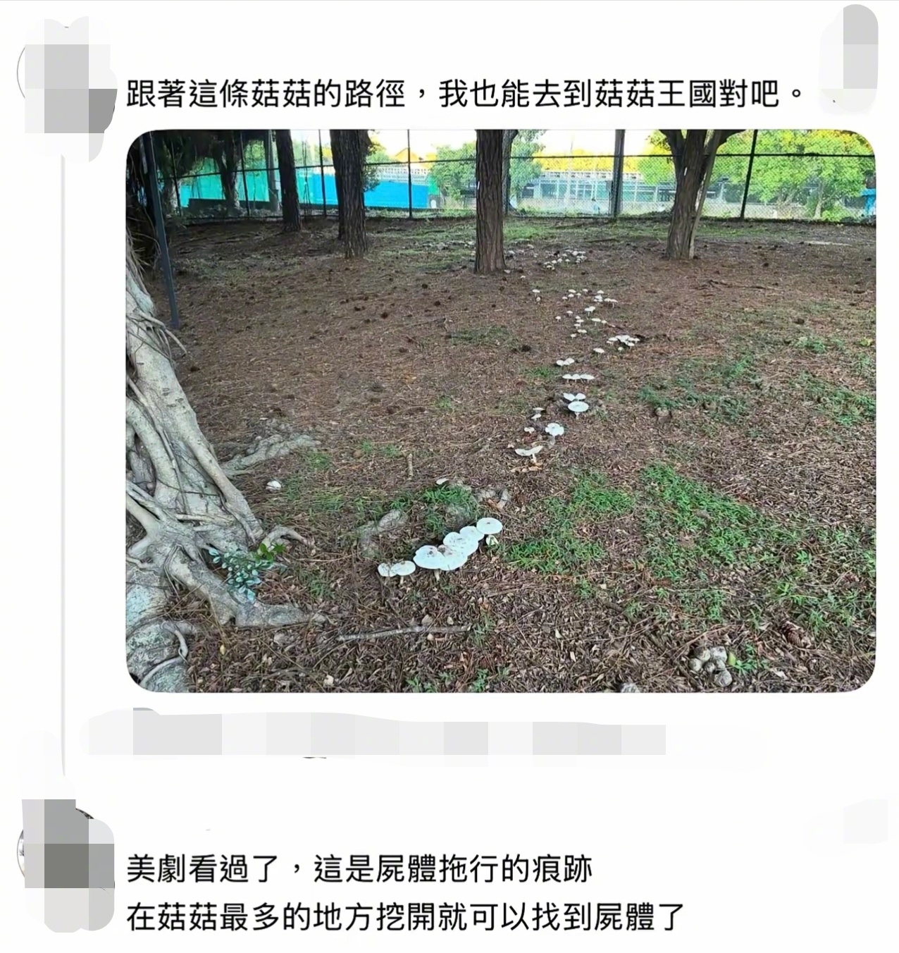 这么一看，采蘑菇的小姑娘不是童话故事，而是悬疑推理剧或者恐怖片。 ​​​
