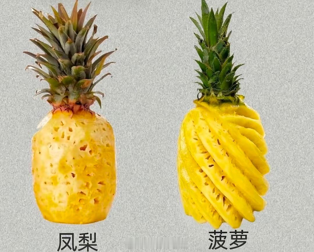 不是一个东东吗？大陆人叫菠萝台湾人叫凤梨
