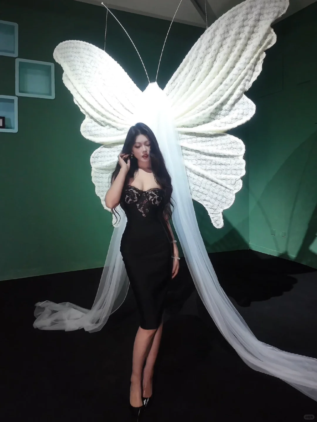 银川蝴蝶展🦋万物与我都是自由诗