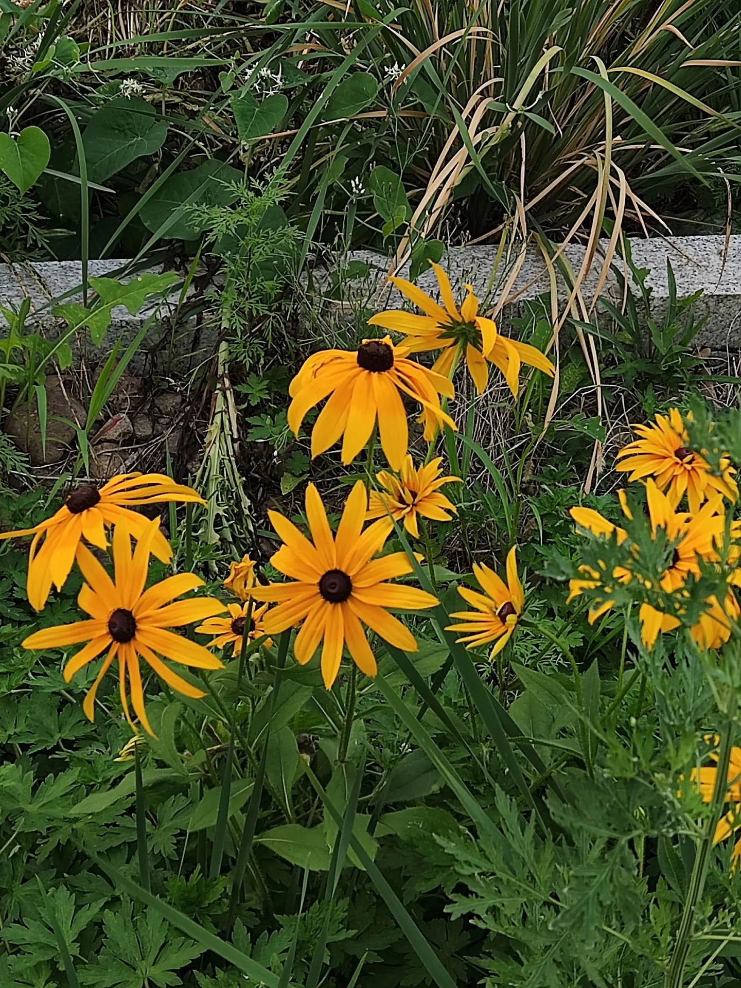 花。