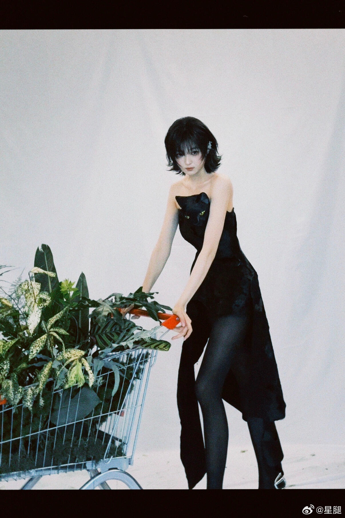 孙千 🍃 千千的黑丝大长腿 