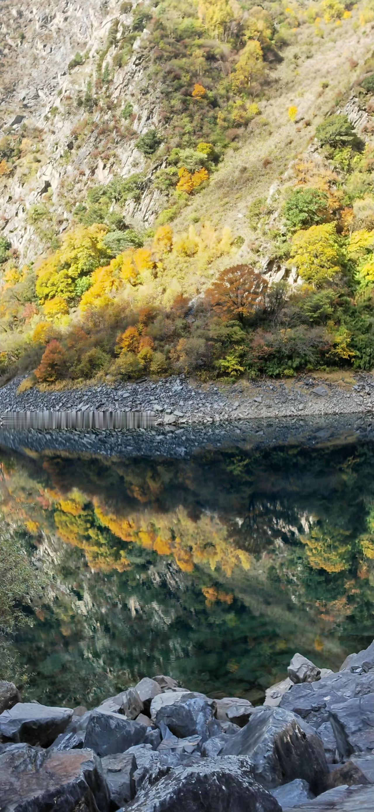 冬日生活打卡季 立冬之后，冬日氛围渐浓，海鲜市场也有新变化。就说扇贝，现在大量上