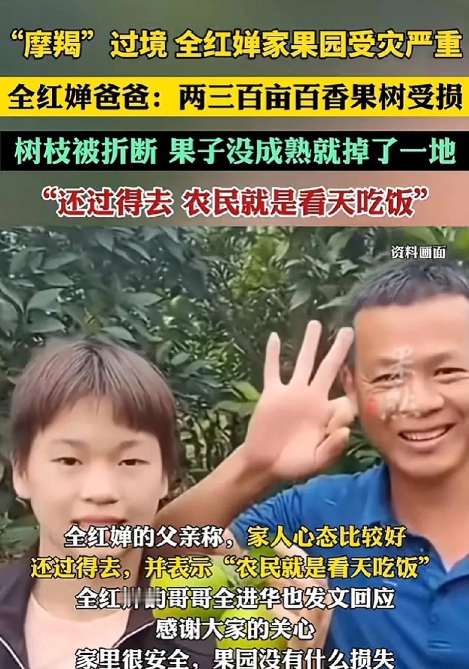 你听说了吗？全红婵家里因为台风遭了大灾。他们的果园满目疮痍，百香果树被狂风无情折