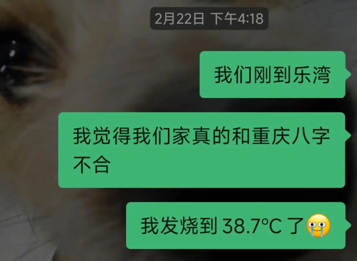 刚开年让我发烧四天 接下来就不准整我了喔本命年
