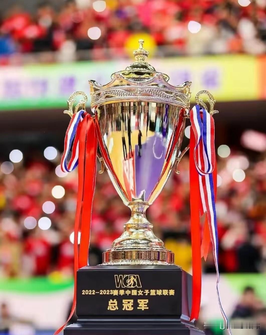 WCBA总决赛川蒙对决，按照球员综合实力，划分为四个等级：

1、世界级：坎贝奇