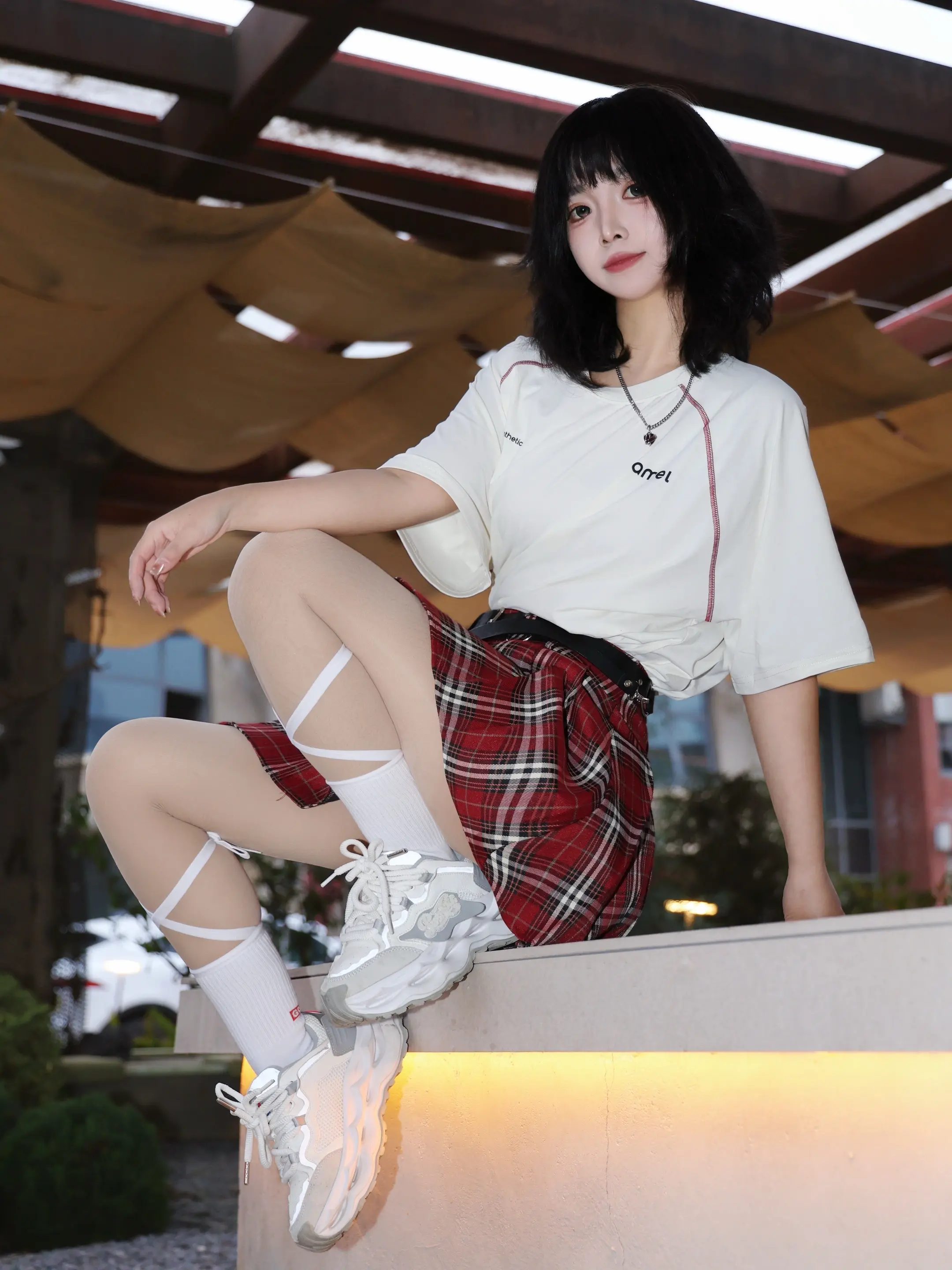 开始理解公鸡 早起然后尖叫