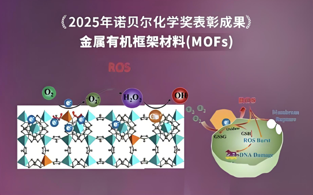 去年开始，不少厂商的朋友跟我聊“在尺寸、空间、配置、技术几大方面已经平权的背景下