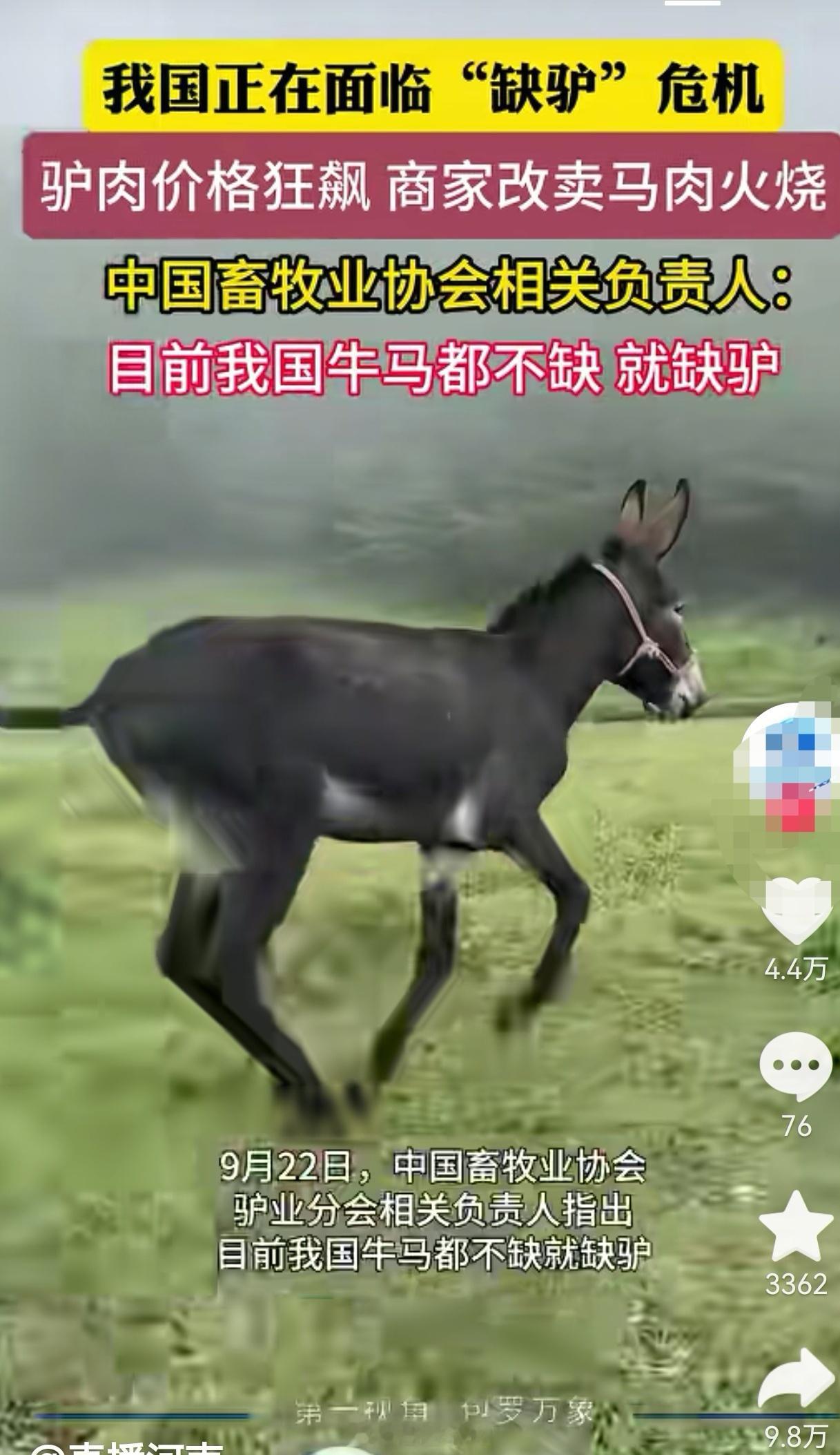 我国不缺牛马…上次确实去保定吃的是马肉火烧[衰][衰] ​​​
