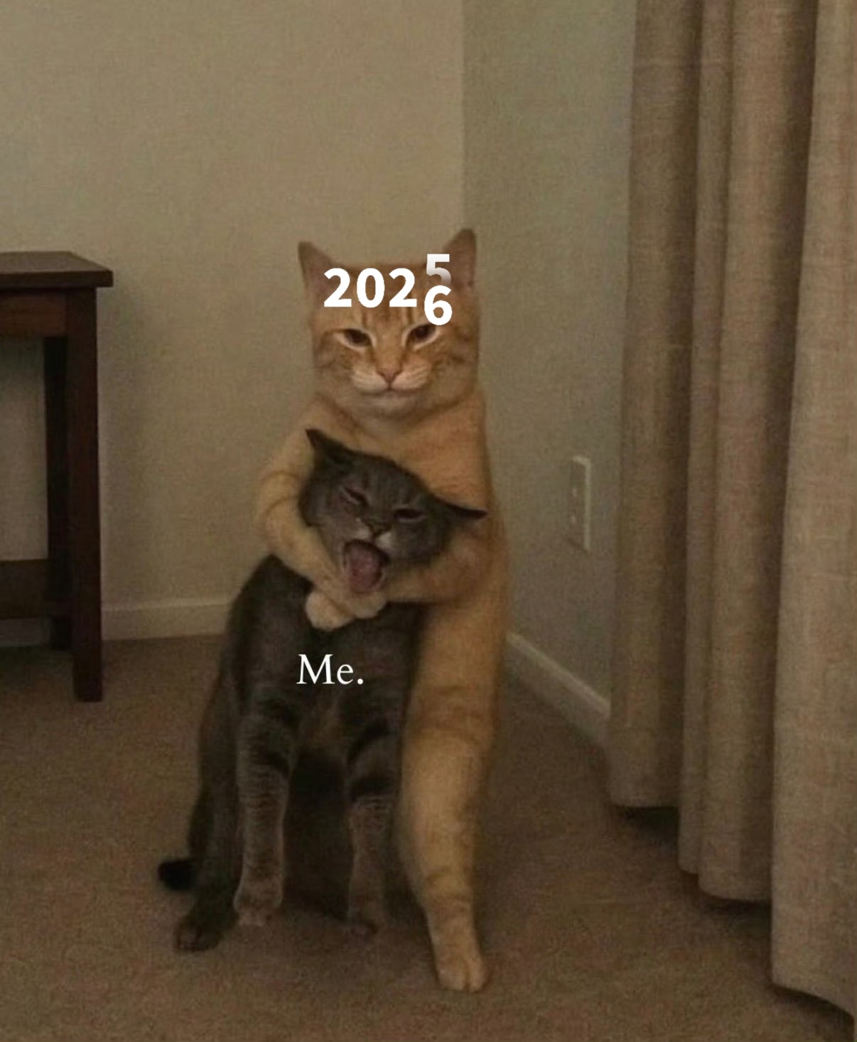 刚开完越洋电话会议，终于能睡觉了，谁说老外不卷，他们只卷别人 