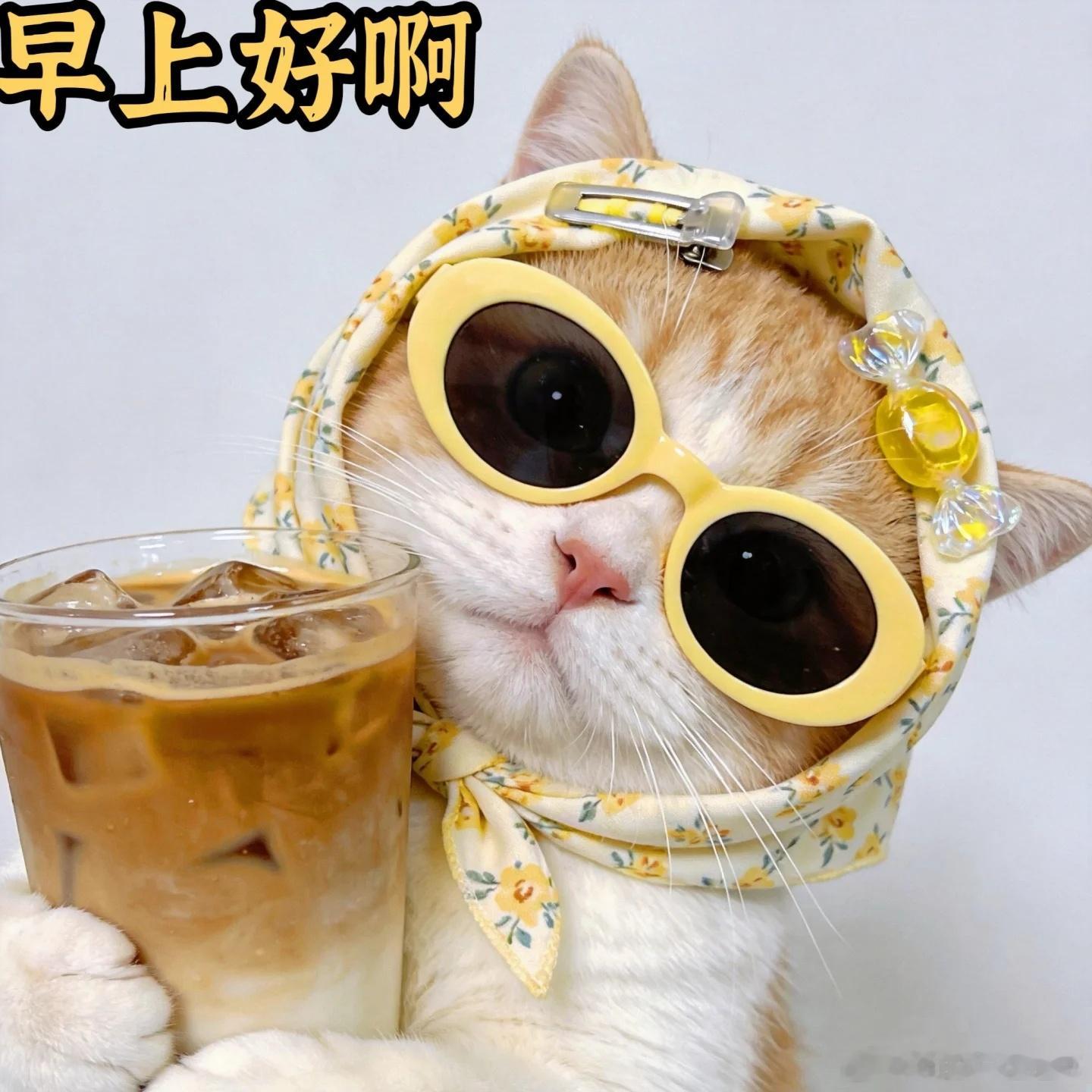 多滋养身心，多丰盈内心日积月累，悄悄蜕变成长你的底气，藏在日常坚持里早安！ ​​