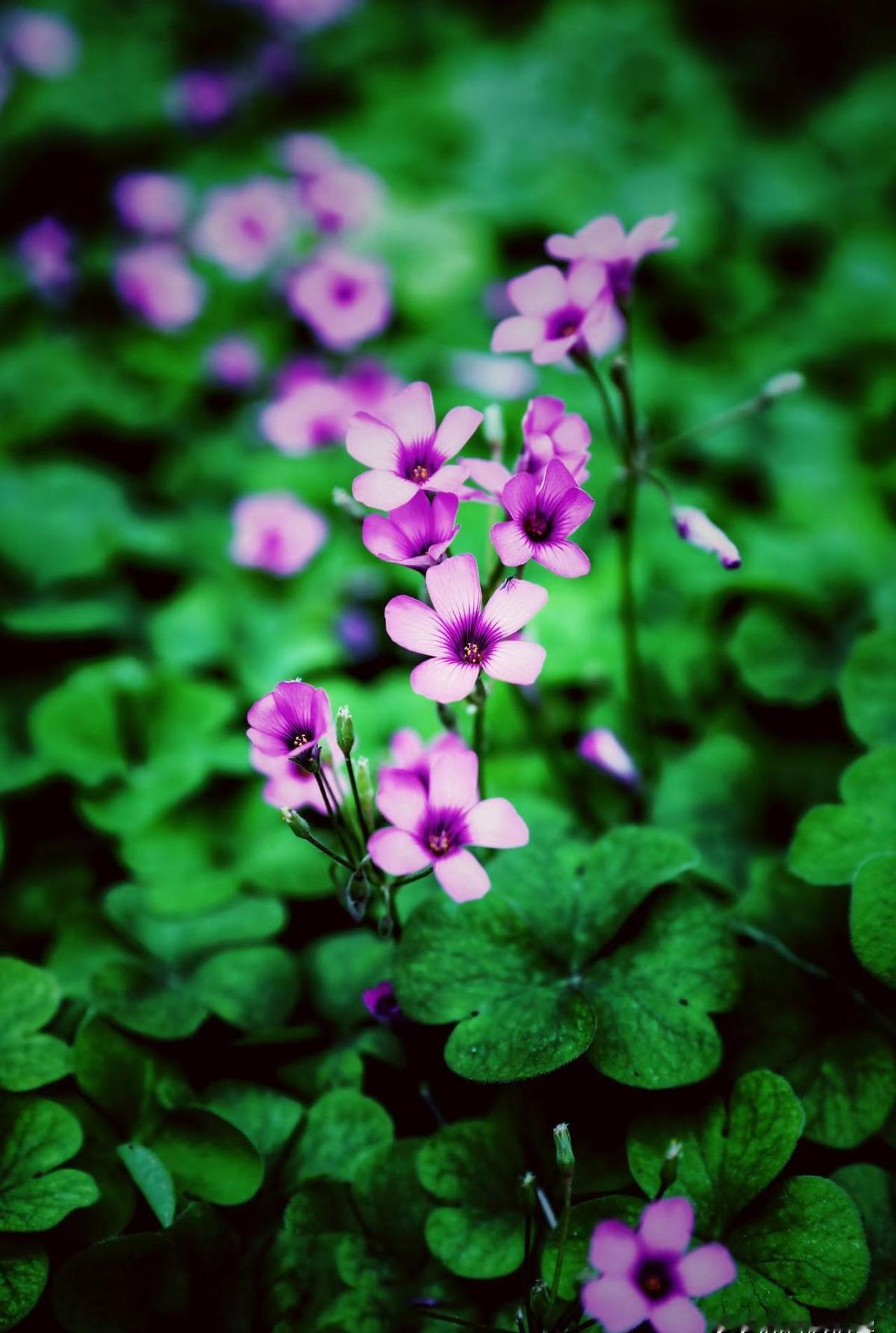 名校毕业的往北上广跑，普通人留当地扎根，这不是逃兵，也不是认命，是两条路，各自有