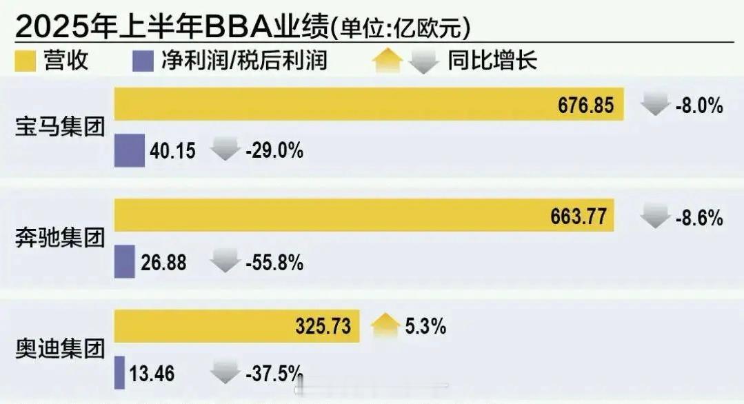 宝马、奔驰、奥迪2025上半年全球营收情况👉👉👉整体下跌都很明显，但宝马净