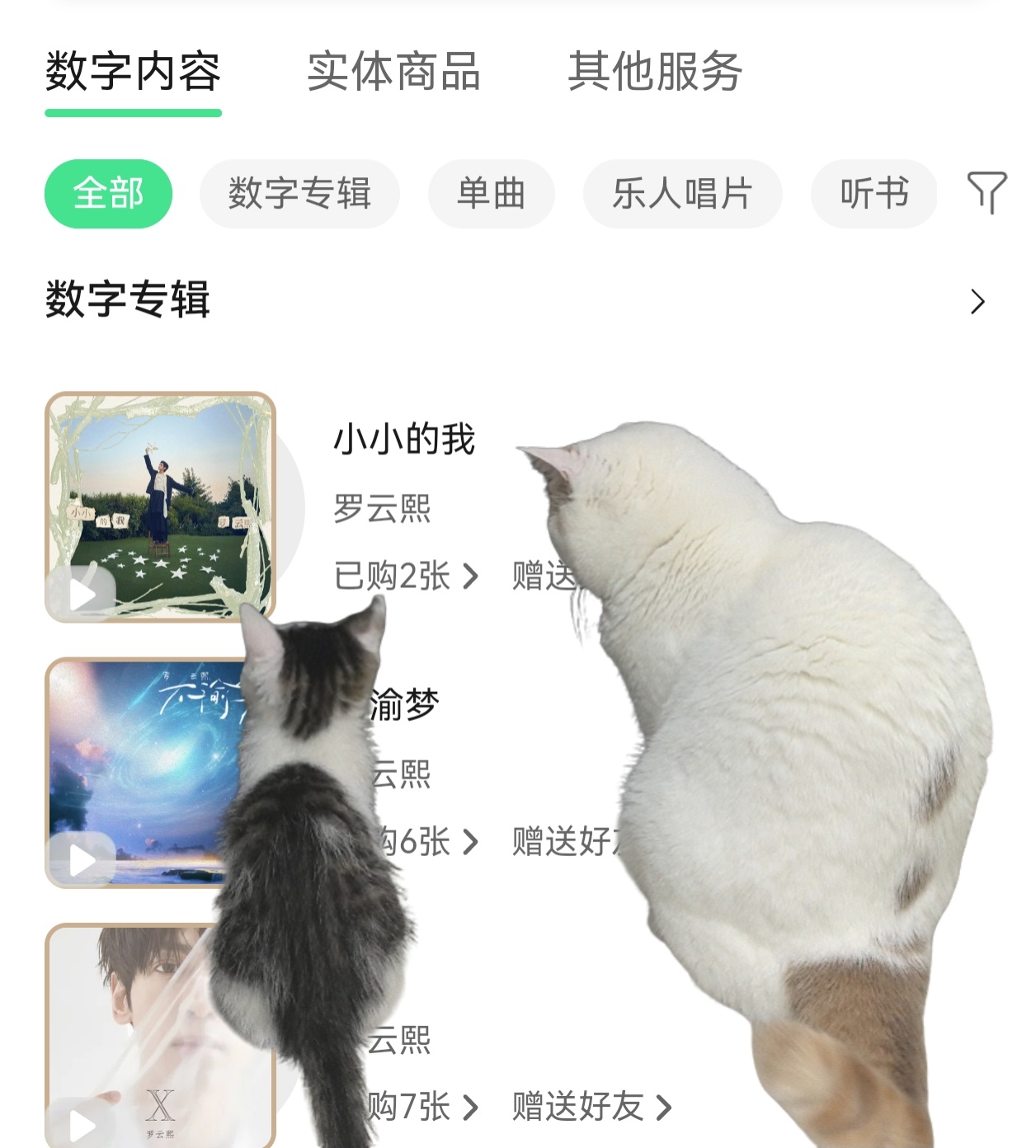 南京见啊歌手罗云熙