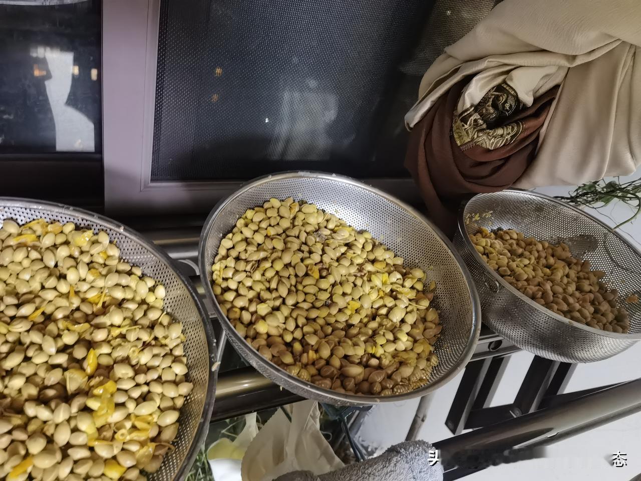 忙了一晚上，终于把白果清理出来了，上午带果肉22斤，晚上清理出来称重，带框称重9
