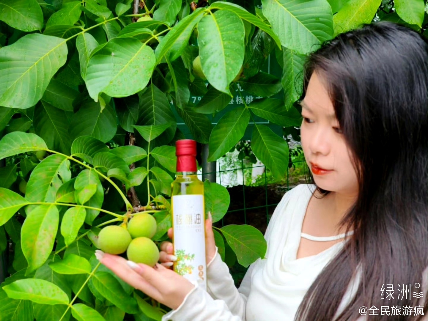 九源之源在青实 八月中旬午后雨刚停歇。婷婷随文游界一行走进成县核桃园。山间薄雾未