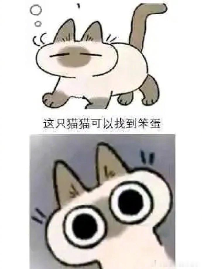 谁是笨蛋！    