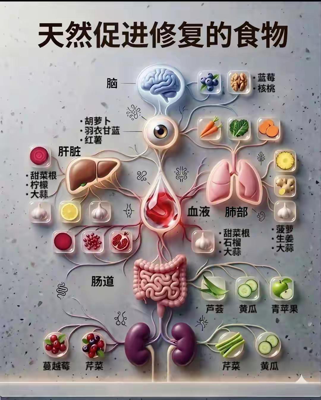 蔓越莓&芹菜修复右肾，
黄瓜&芹菜修复左肾。
修复左肾和右肾居然要用不同的食材！