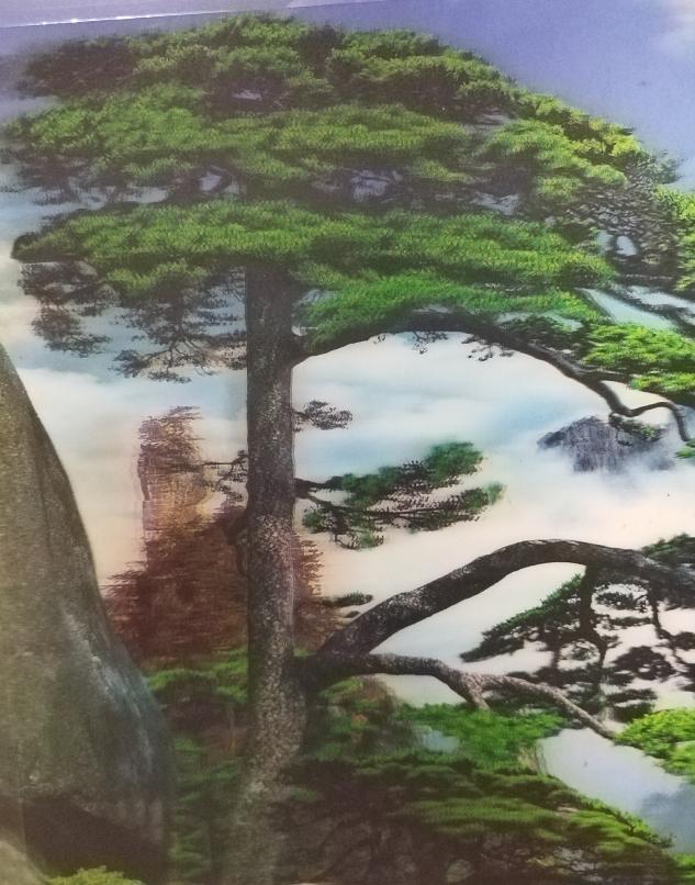 游客的觉醒

你高速收费，我假期上路不收费
你黄山山上平时268元宿舍，十一涨价