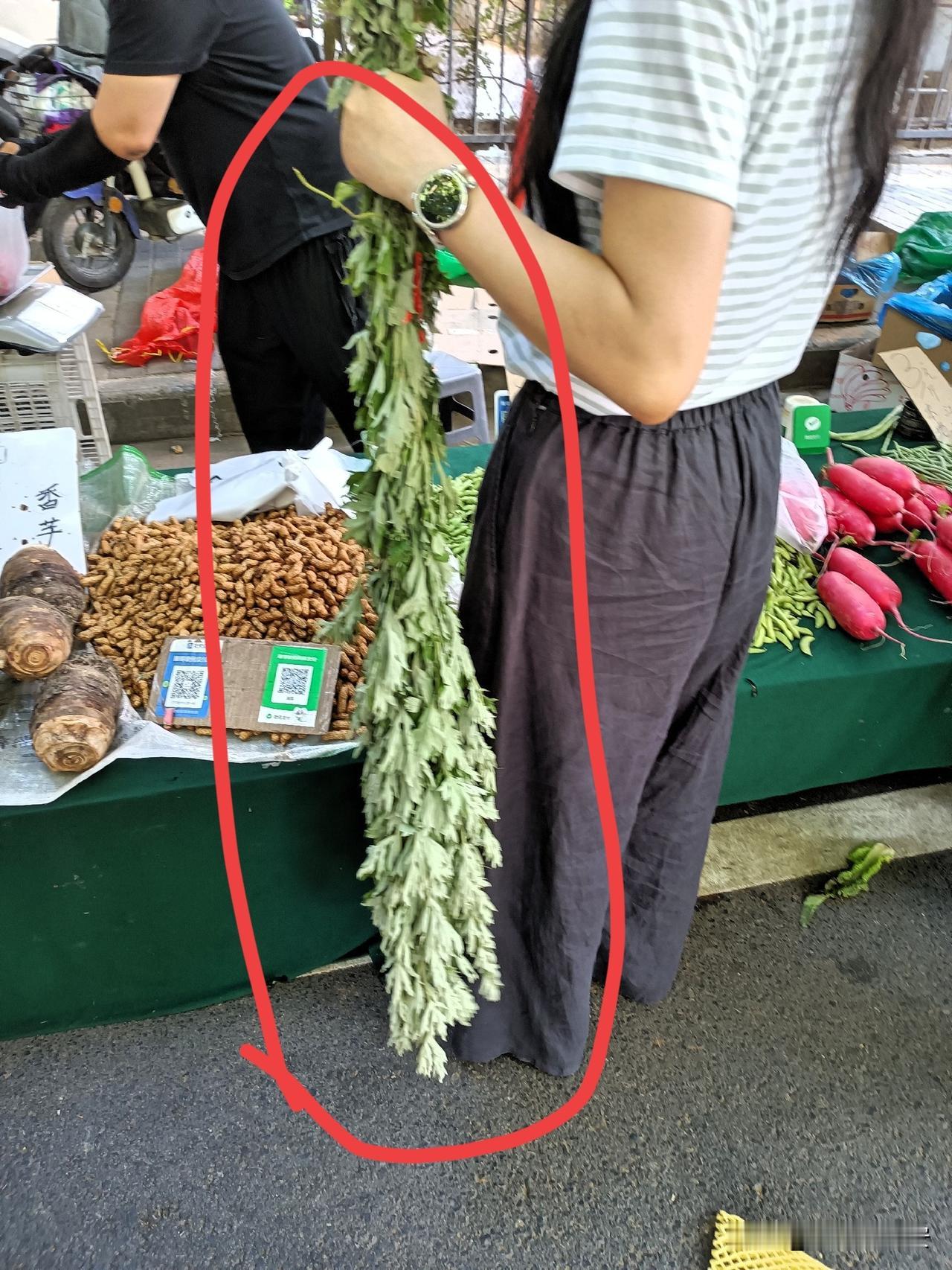 今天距离端午节还有8天，发现最近西安早市开始卖艾草了，不是说端午节前一天下午，或