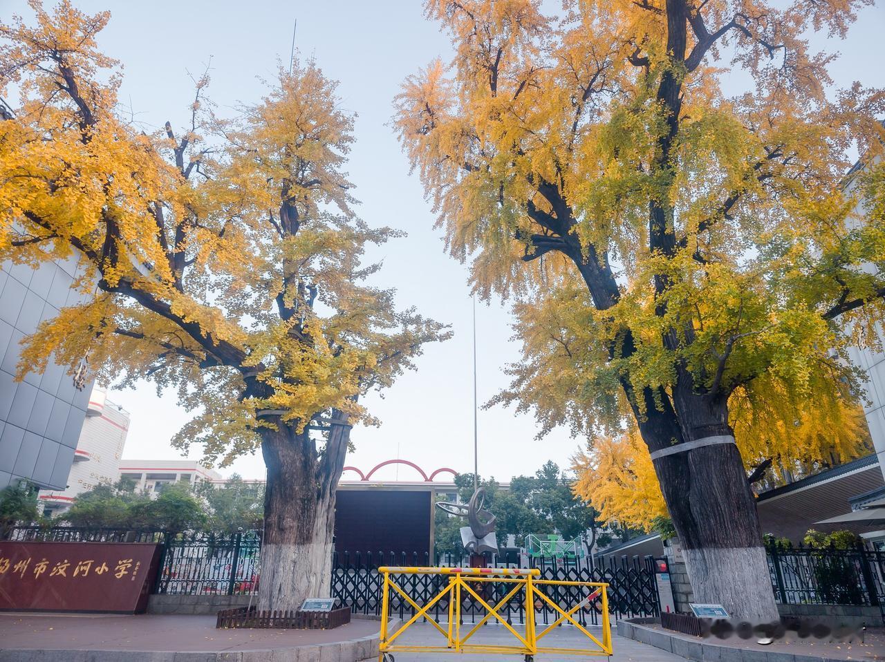 瞎说用你的方言家乡话怎么说?“瞎说”用扬州话一般说成 “瞎讲”，语气更口语化、带