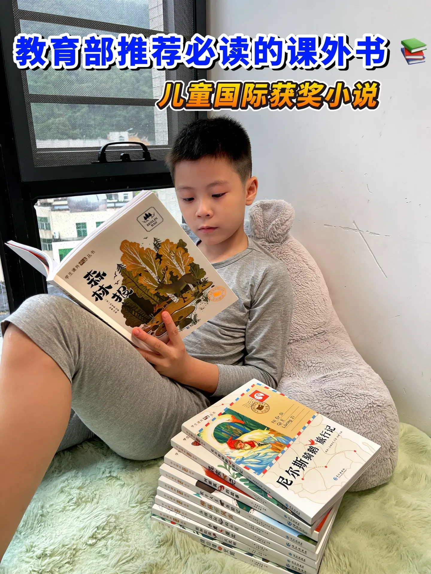 这套全10本《国际获奖儿童小说》太值了，没有一本凑数的！紧跟新课标，是...