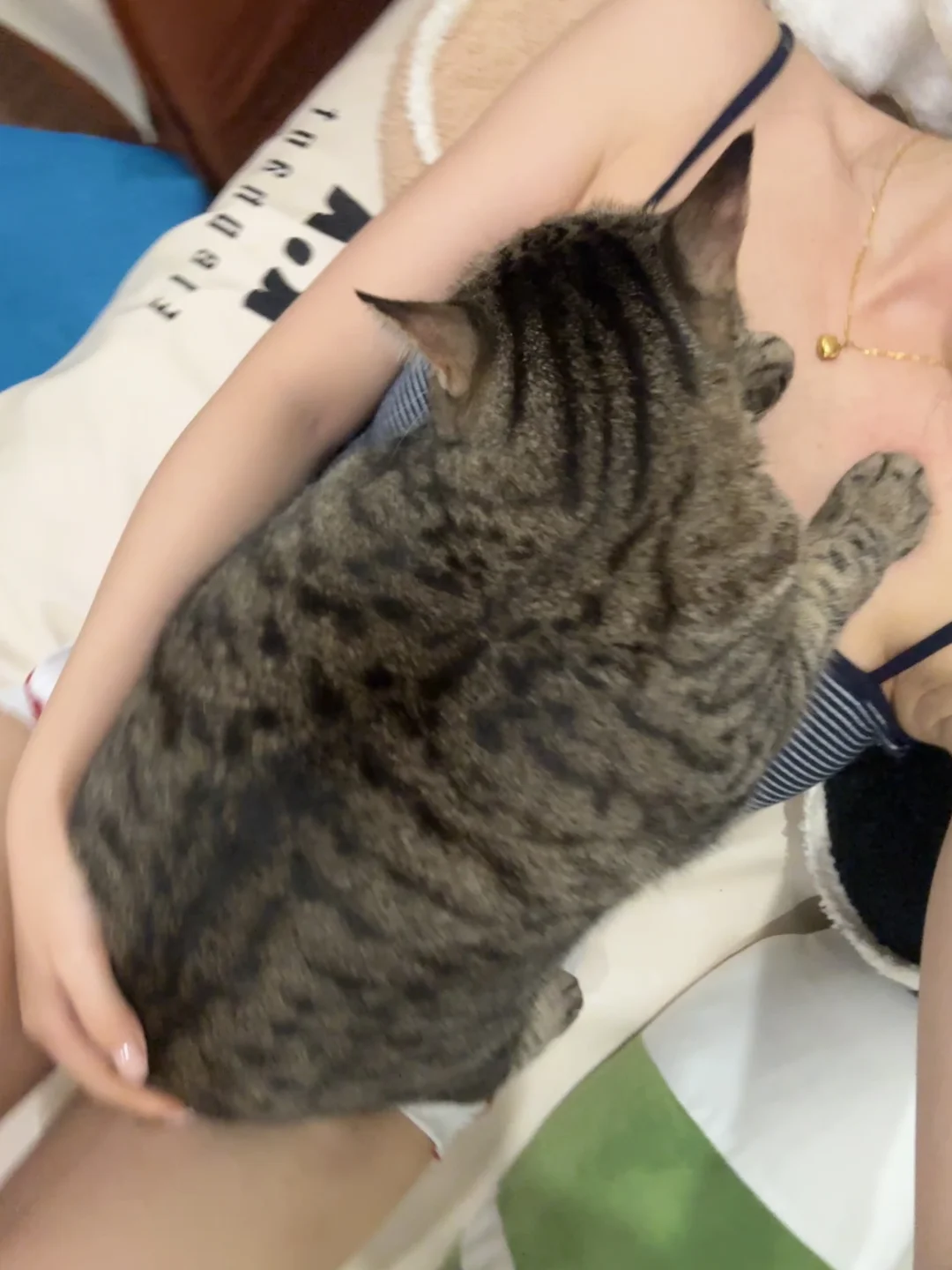 我的夏季显瘦单品（一辆咪）看看你们的胖咪