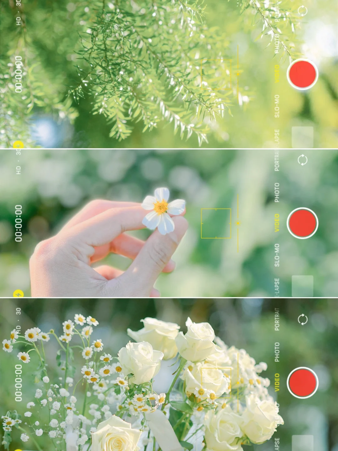 手机调色✨日系通透电影感滤镜🌿拯救废片❗