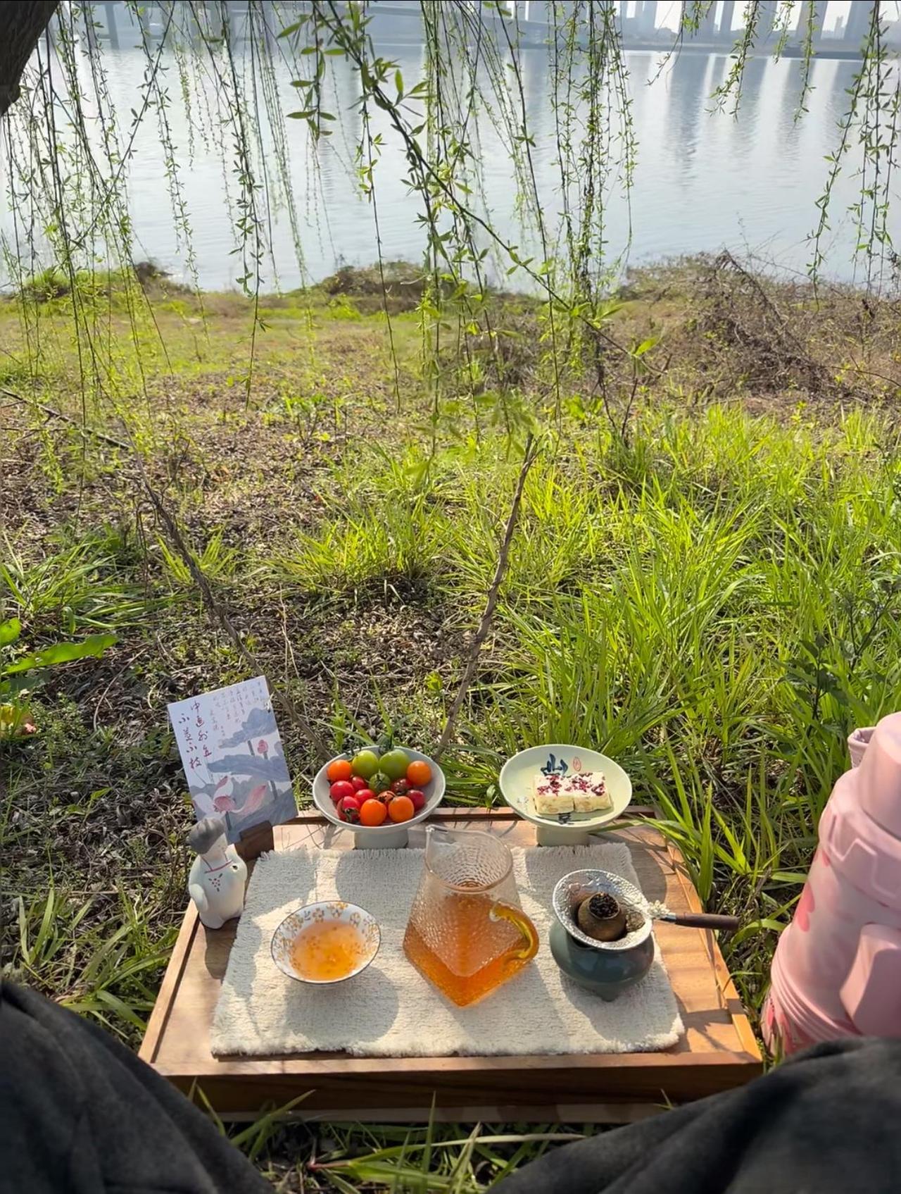 春天野餐的感觉真好