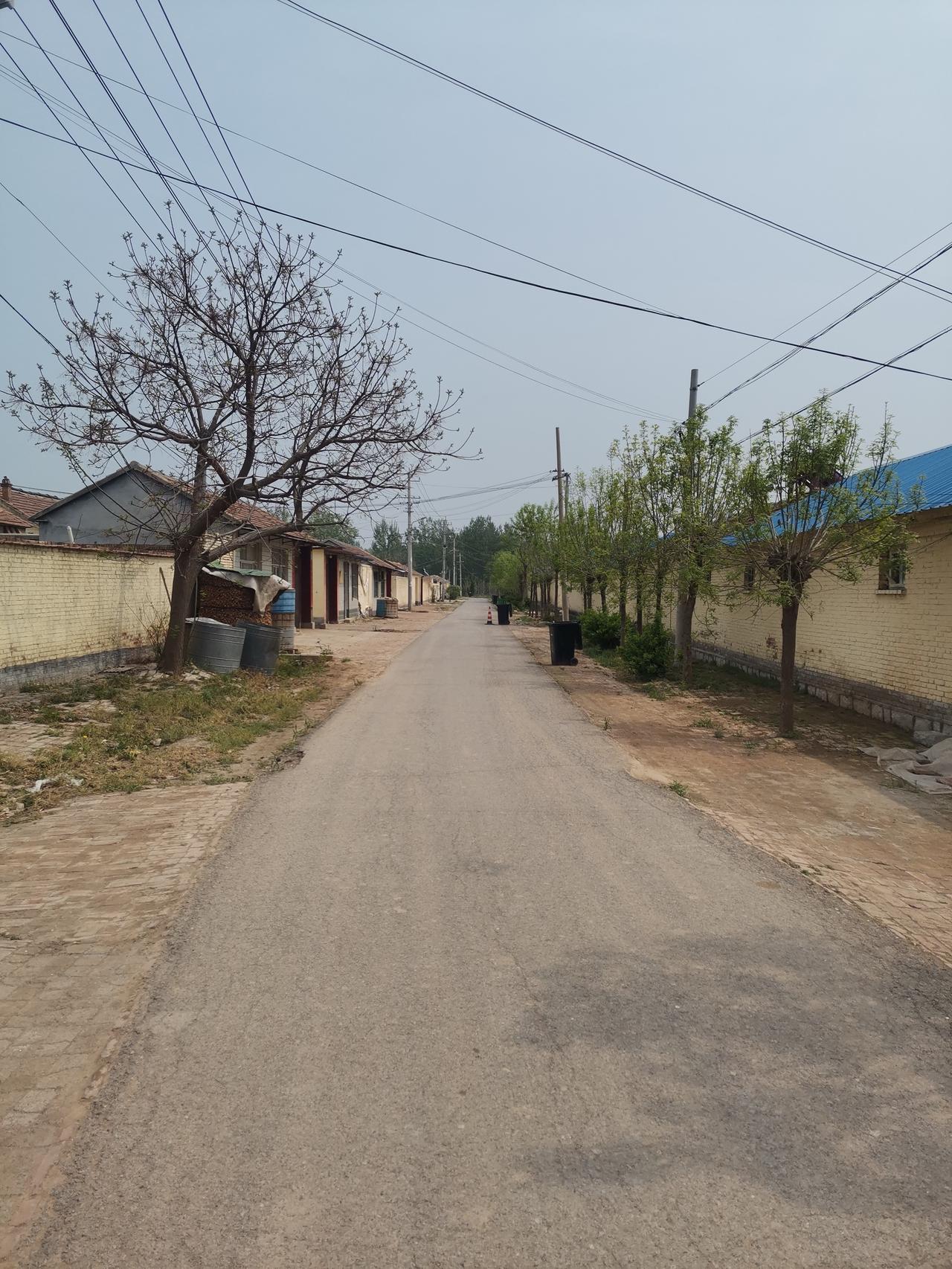 绿树掩映，清净悠闲。村越修越好，人越来越少！