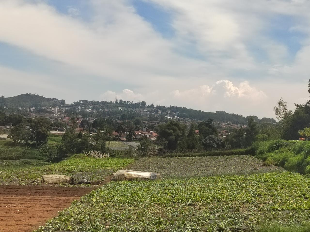 成长不一定要换赛道 而是要带着问题去奔跑。
工作中总会碰到各色各样的人，与工作中