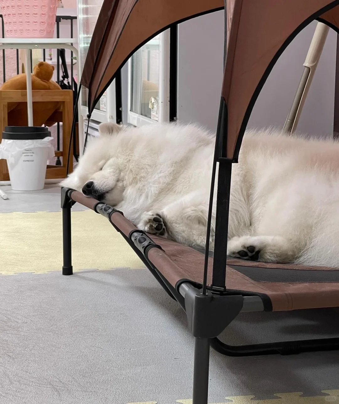 这耶大爷可比门口保安大爷会享受的多了