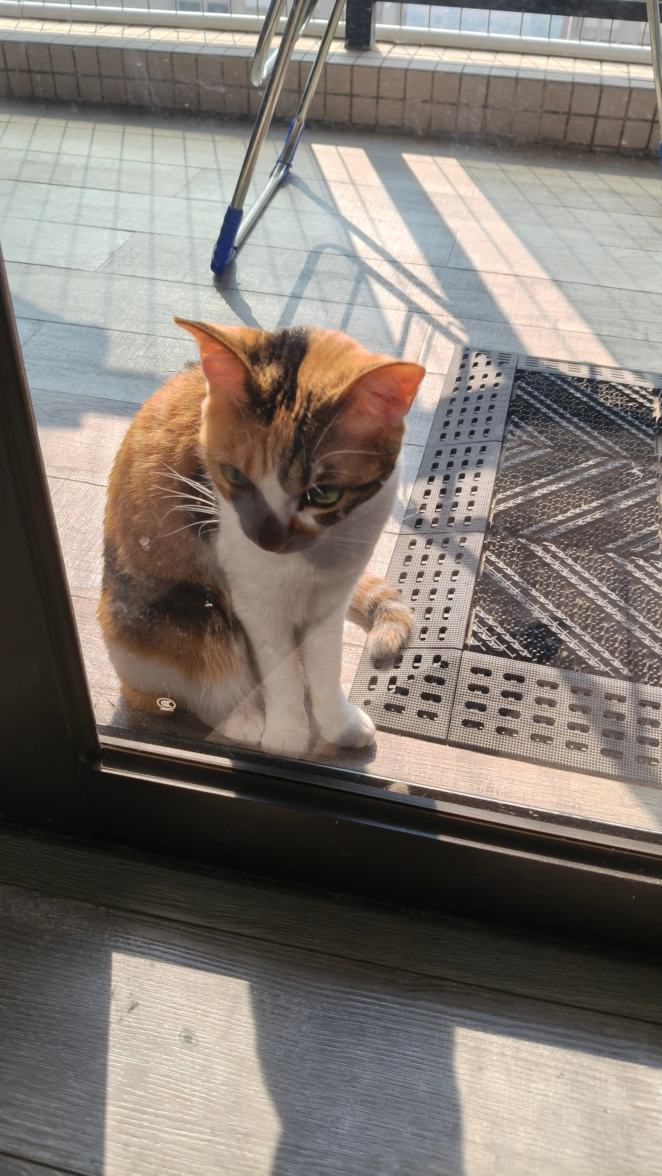 厚脸皮求各位关注一下我的微信视频号：点开图片，识别图中二维码，点关注就可！每周会