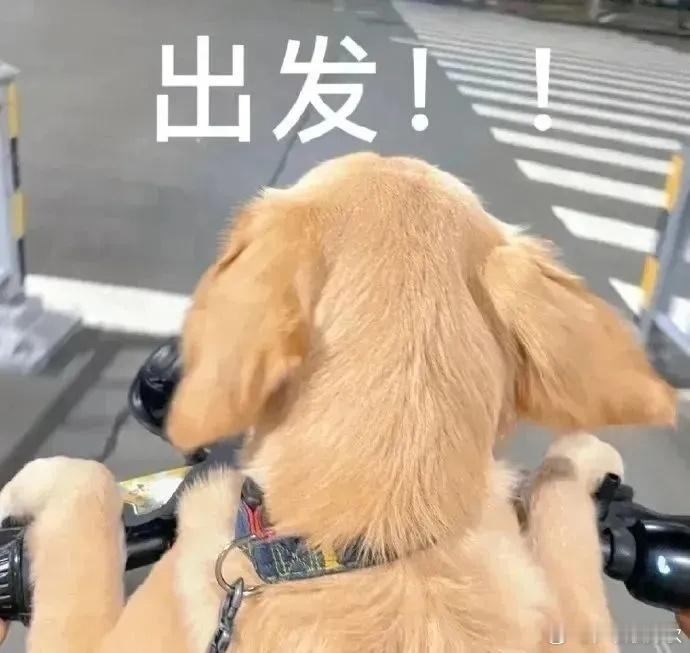 今天有防晒霜和洗发水推推[开学季] ​​​