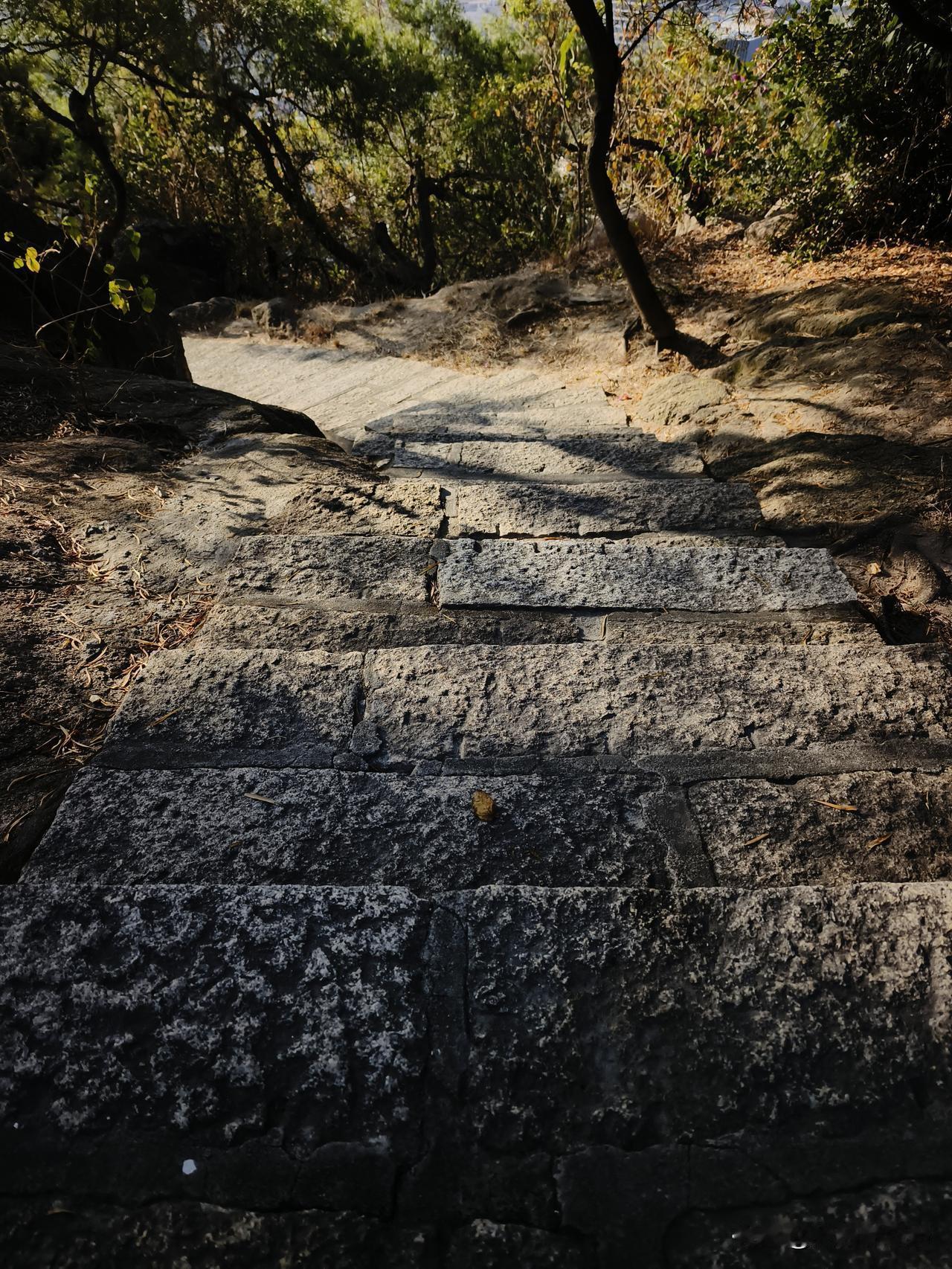 尽管前路荆棘丛生，列强环伺围堵，倭寇蠢蠢欲动，尽管台独挟洋自重，满遗死而不僵，我