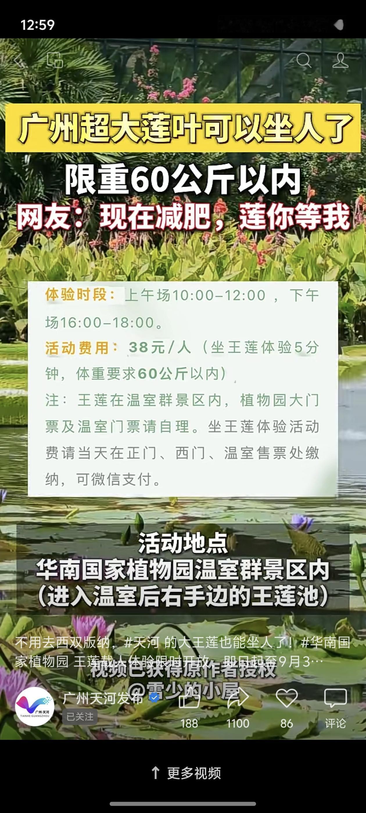 华南国家植物园厉害了。
确实没想到王莲有承重能力那么强的叶子，以前看到莲上有人，