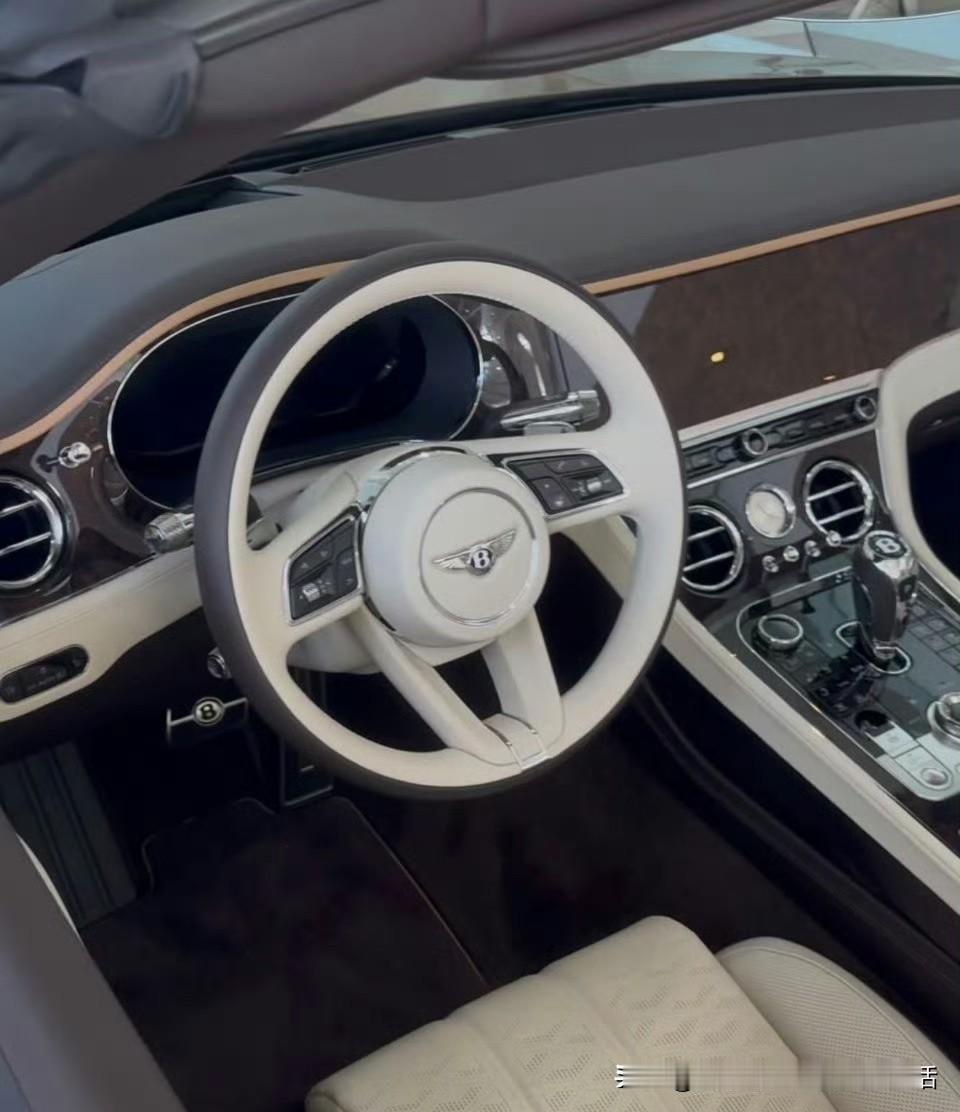 新欧陆 GT 敞篷版动感夺目的焕新外观设计与新款 V8 混合动力系统相得益彰，将