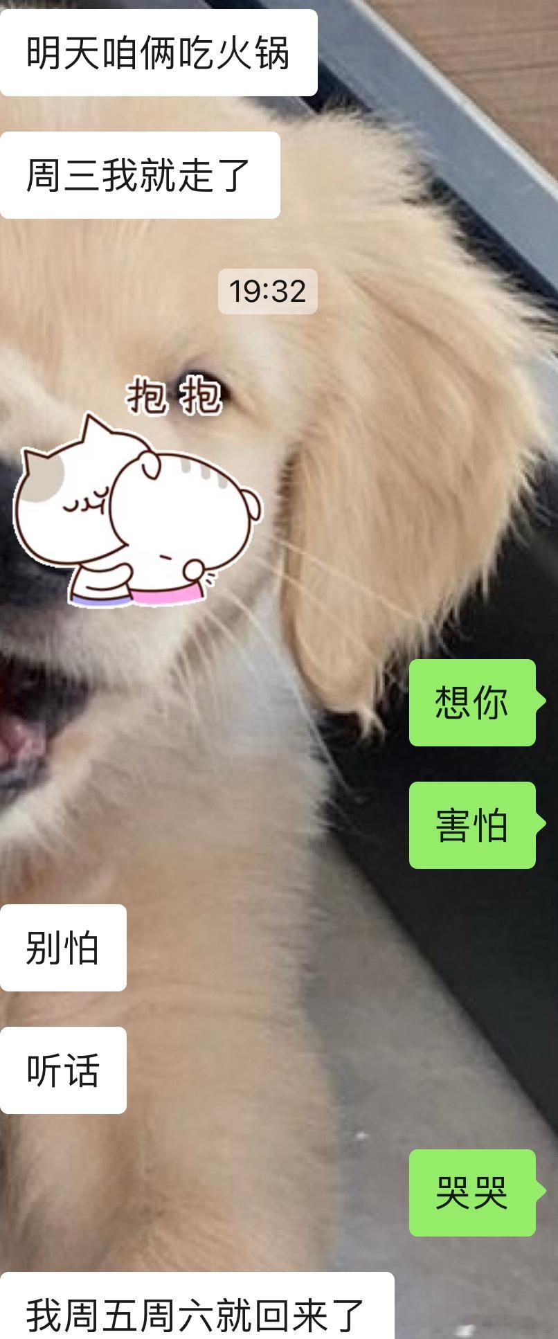 耶斯，Z要出差喽，嘎嘎自由啦！ ​​​