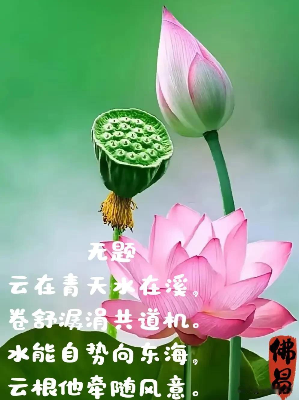 保持一份好心情，日子会慢慢闪闪发光。