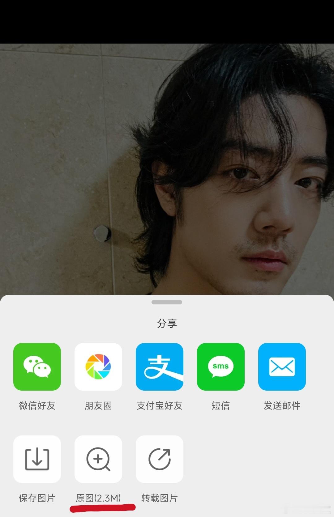 好哇肖赞赞你，其他图都是清晰图，正常格式，唯独那颗绿心心尺寸高度可疑！像是从微信