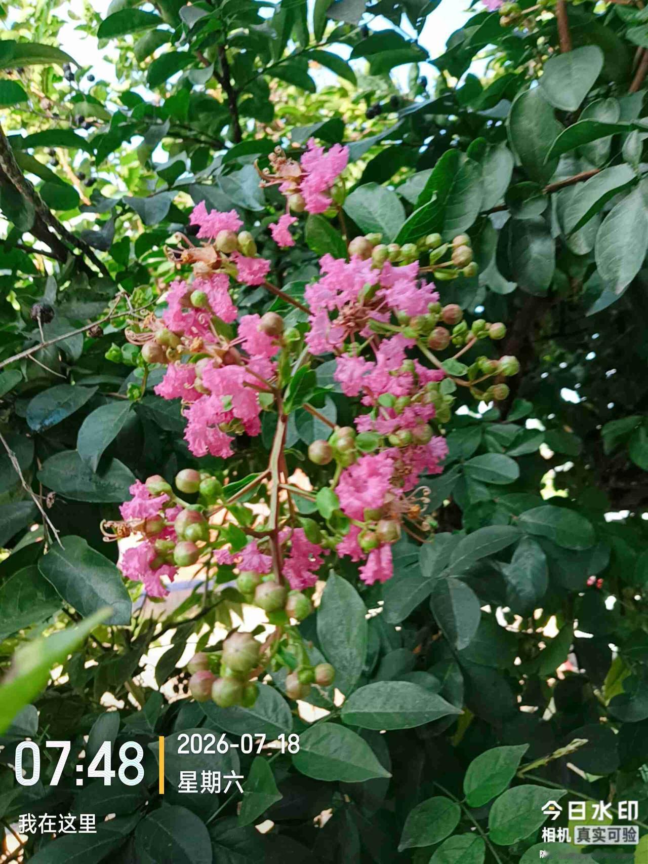 我的今日状态：😁轻松愉快
我这里的天气：☀️晴天