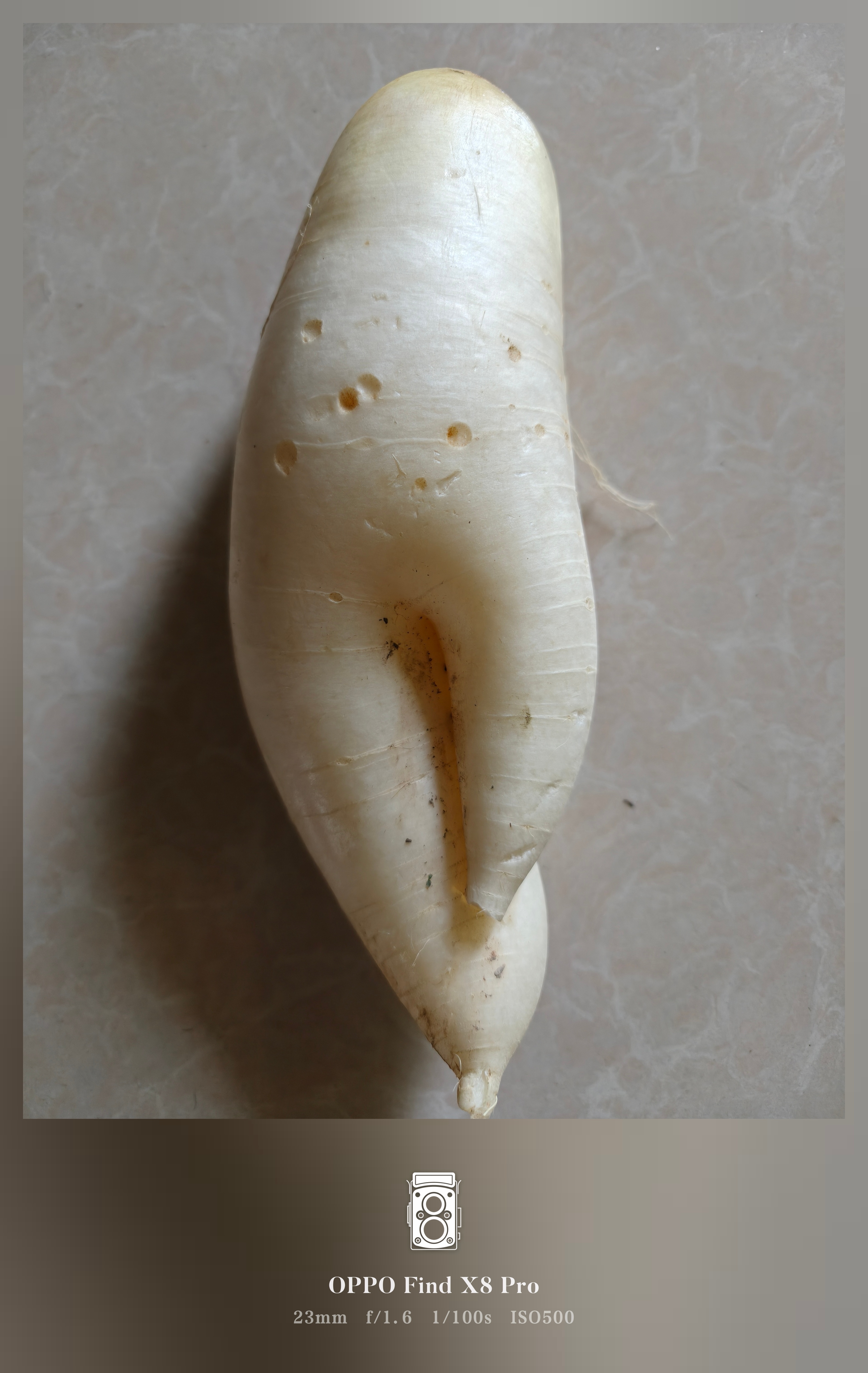 早，菜摊阿婆说这个萝卜好吃。 