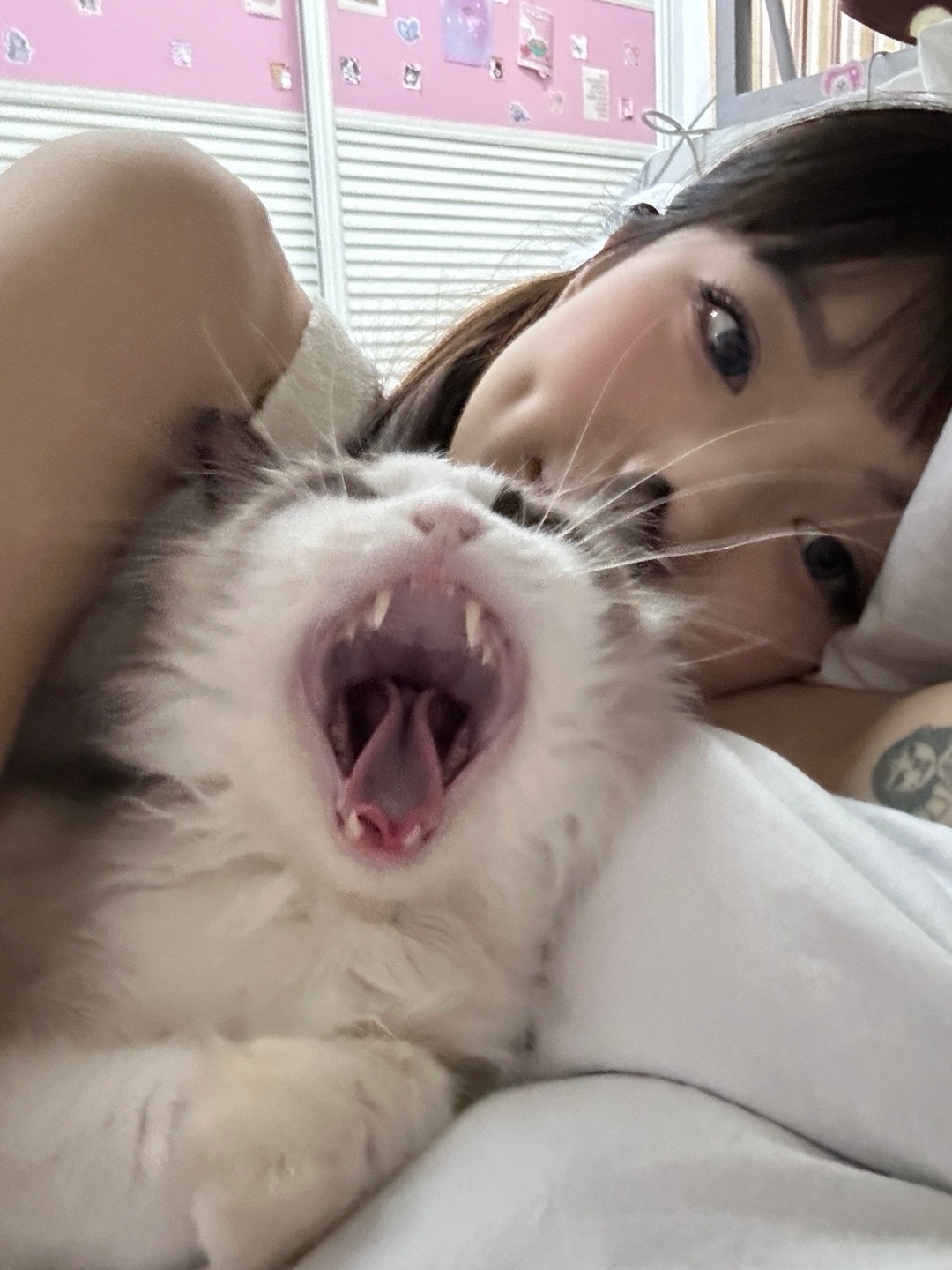 你丢掉的小猫我养得很好 ​​​