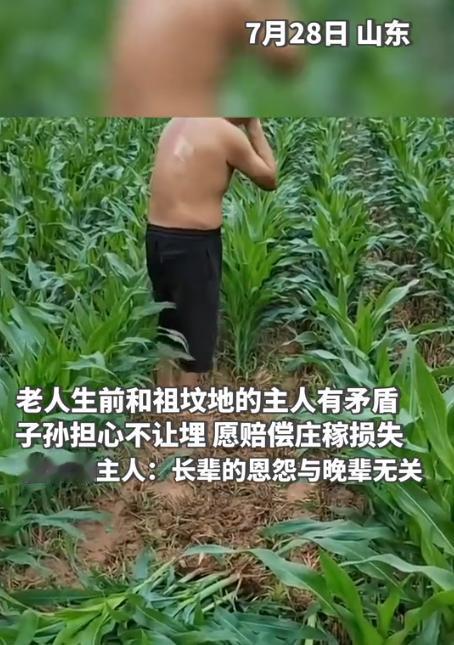 这就是格局！2023年，山东，一老人去世欲下葬，但祖坟却在多年“仇家”的田地里。