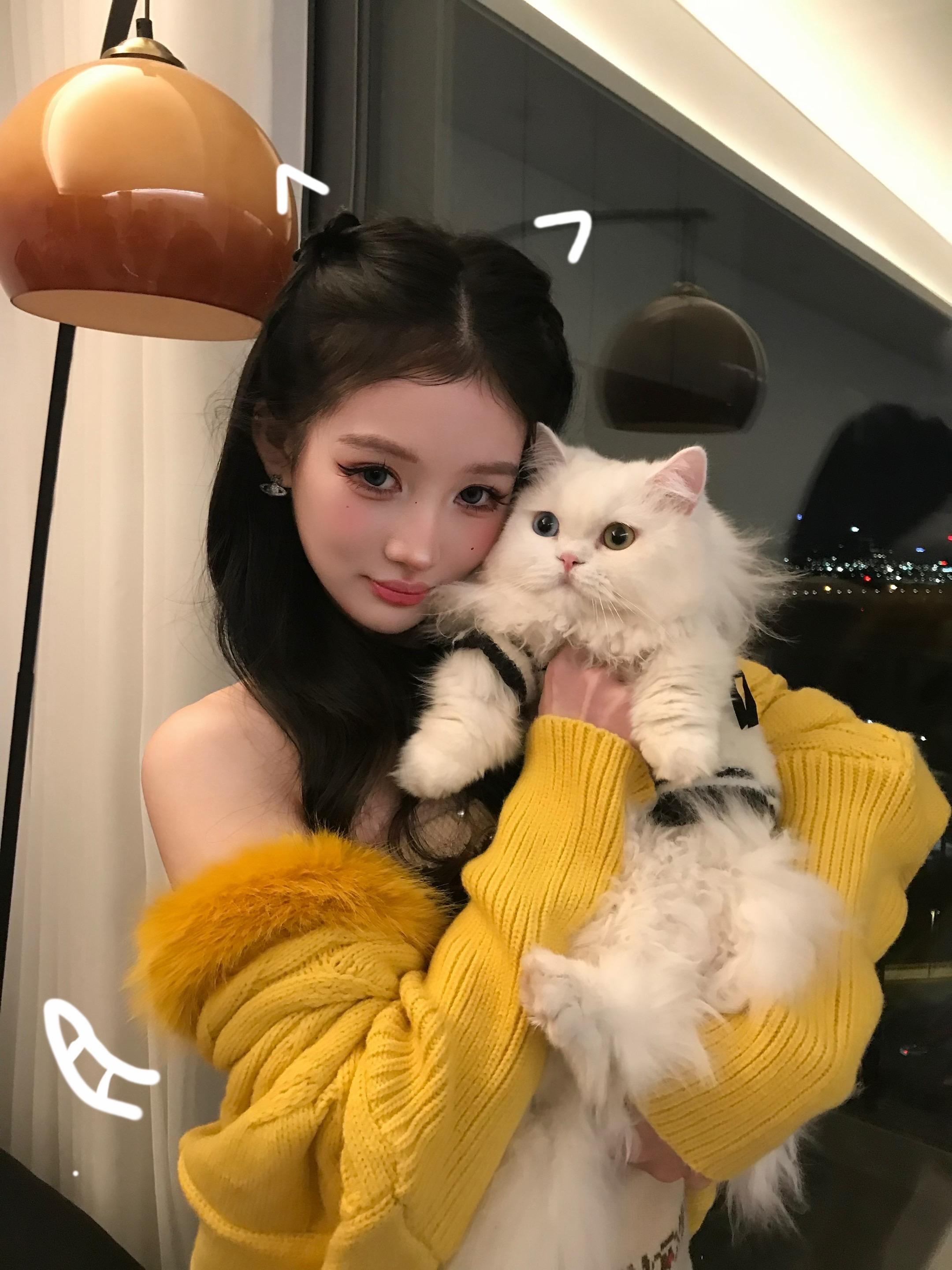 🐈‍⬛ ˖ ⊹  ˖  ⊹  ˖  ⊹  ˖  ⊹  ˖